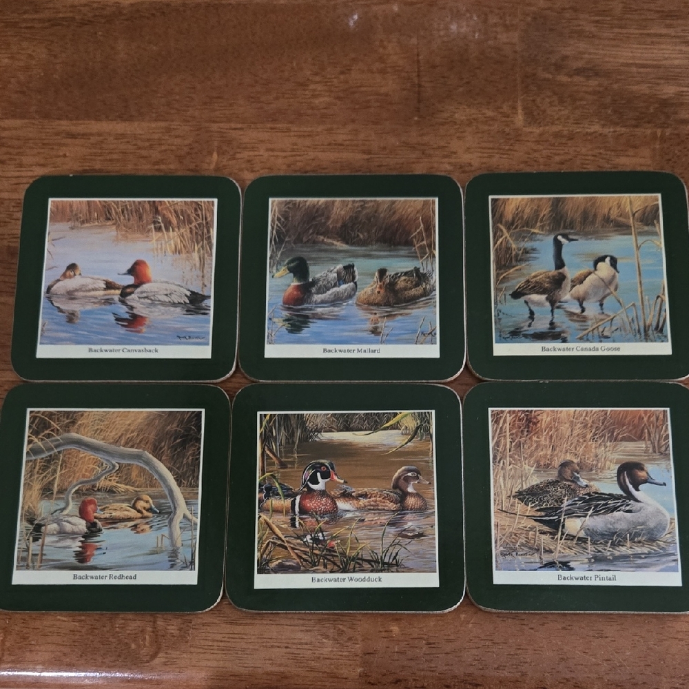 Vintage Set of Wildlife Coasters with Bird Illustrations